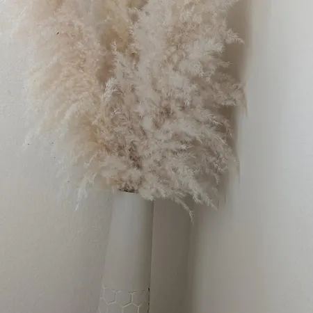 Ein Stueckchen Himmel In Hattersheim ! Apartament Hattersheim am Main